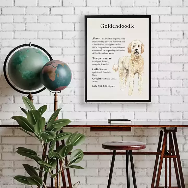 Outlet Goldendoodle Facts Framed Wall Plaque Wall Quotes & Signs