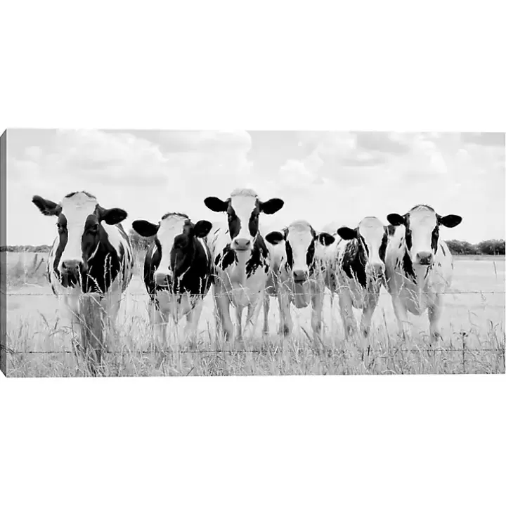 Store Grazing Cow Monochrome Canvas Art Print, 35x17 in. Canvas Art