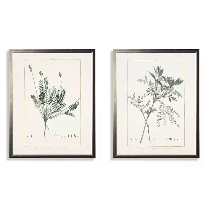 Clearance Greenery Botanicals I Framed Art Prints, Set of 2 Framed Art