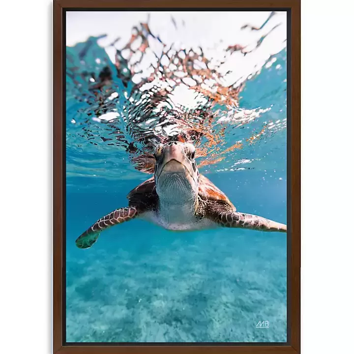 Flash Sale Hello Turtle Framed Canvas Art Print Canvas Art