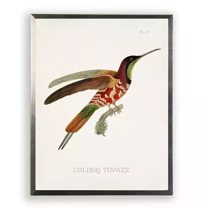 New Hummingbird I Framed Art Print Framed Art