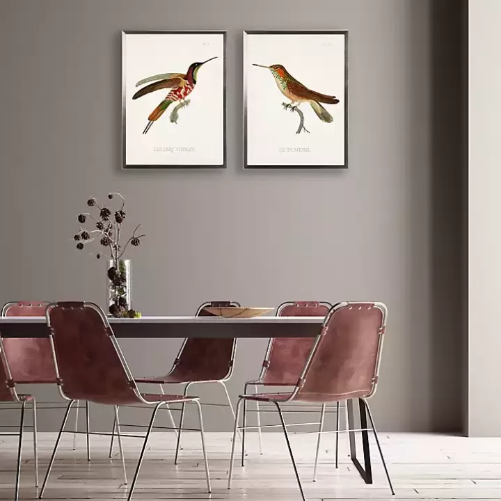 New Hummingbird I Framed Art Print Framed Art
