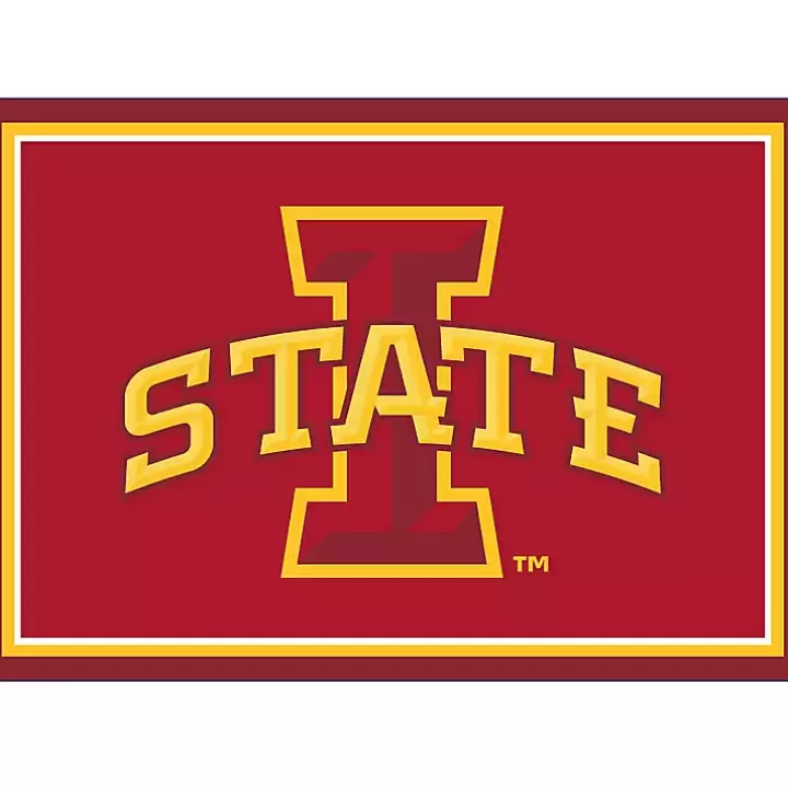 New Iowa State University Area Rug, 3x4 Area Rugs