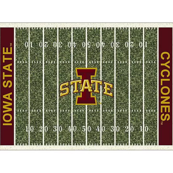 Best Iowa State University Homefield Area Rug, 6x8 Area Rugs