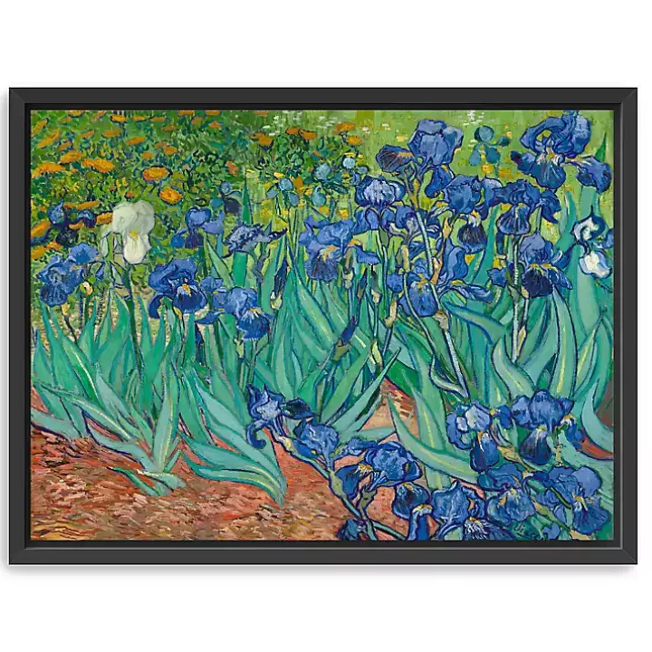 Clearance Irises Framed Canvas Art Print, 26x20 in. Canvas Art