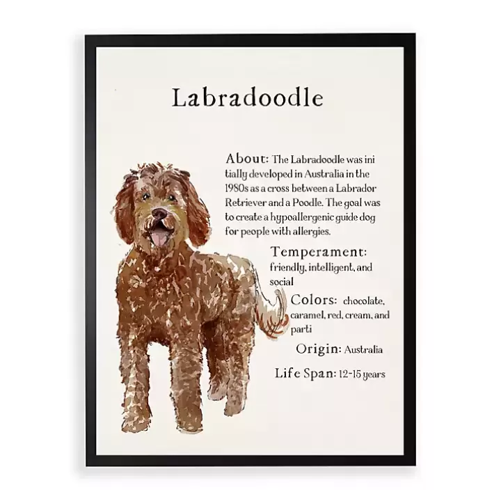 Shop Labradoodle Facts Framed Wall Plaque Wall Quotes & Signs