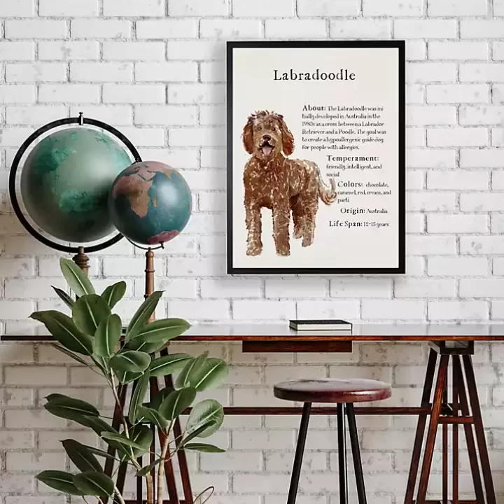 Shop Labradoodle Facts Framed Wall Plaque Wall Quotes & Signs