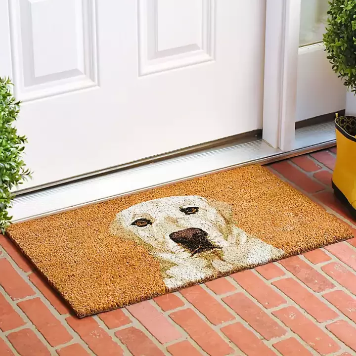 Hot Labrador Retriever Doormat Doormats