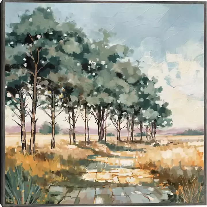 Cheap Late Summer Path Framed Canvas Art Print Canvas Art