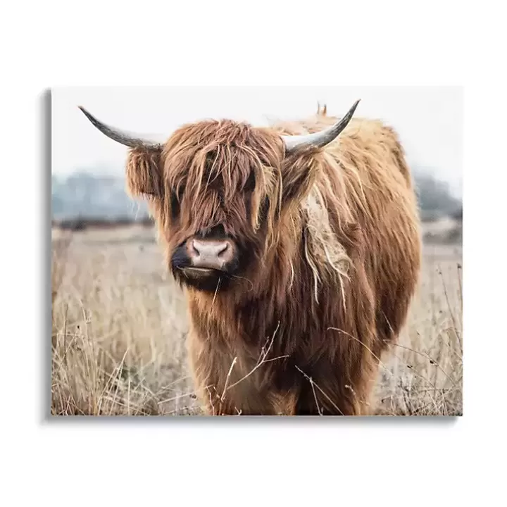 Cheap Longhorn in Tall Grass Canvas Art Print, 40x30 in. Canvas Art