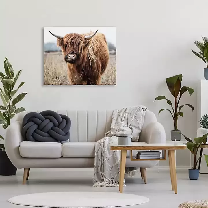 Cheap Longhorn in Tall Grass Canvas Art Print, 40x30 in. Canvas Art