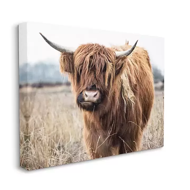 Cheap Longhorn in Tall Grass Canvas Art Print, 40x30 in. Canvas Art