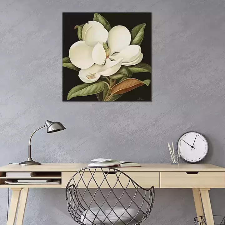 Flash Sale Magnolia Grandiflora Canvas Art Print Canvas Art