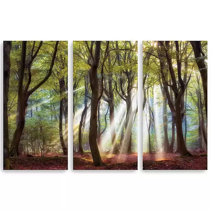 Sale Majestic Morning Canvas Art Prints, Set of 3 Canvas Art