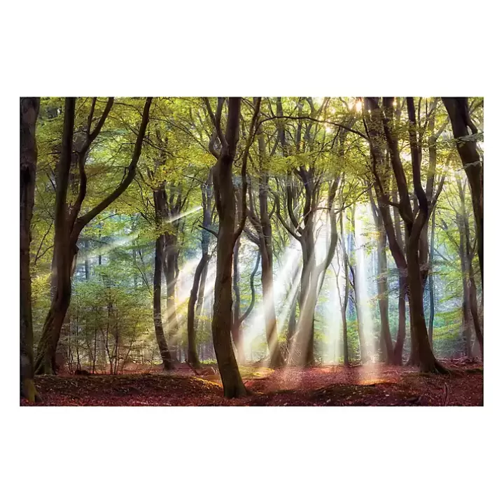 Sale Majestic Morning Giclee Canvas Art Print Canvas Art