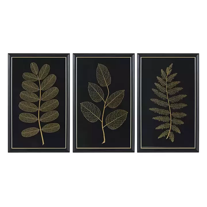 Clearance Martha Stewart Botanical Framed Prints, Set of 3 Framed Art