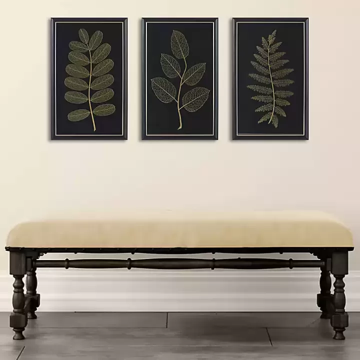 Clearance Martha Stewart Botanical Framed Prints, Set of 3 Framed Art