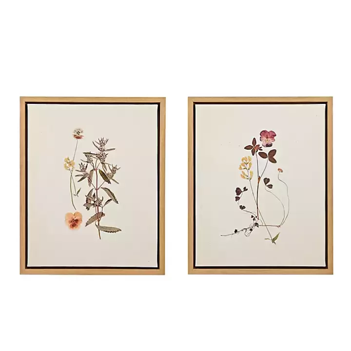 Sale Martha Stewart French Herbarium Framed Art Set Framed Art