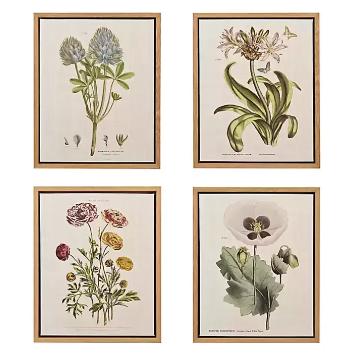 New Martha Stewart Herb and Floral Framed Print Set Canvas Art