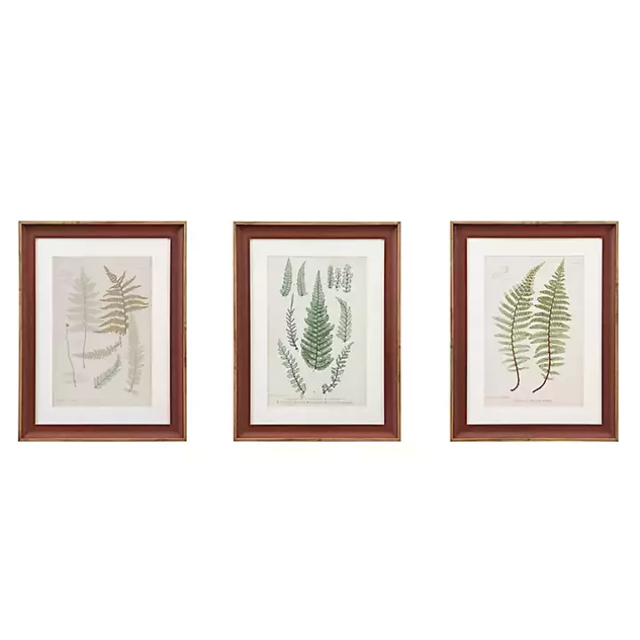 Clearance Martha Stewart Lady Fern Framed Art Print Set Framed Art