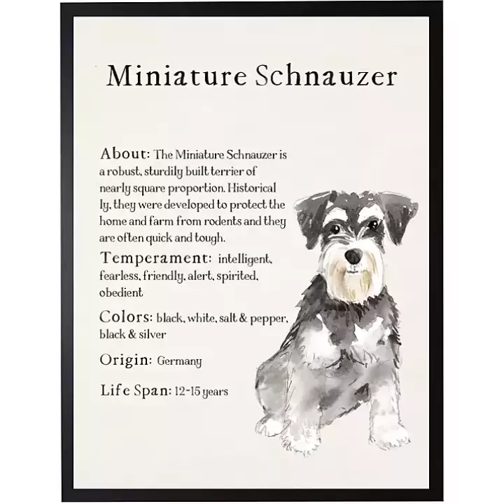 Cheap Miniature Schnauzer Facts Framed Wall Plaque Wall Quotes & Signs