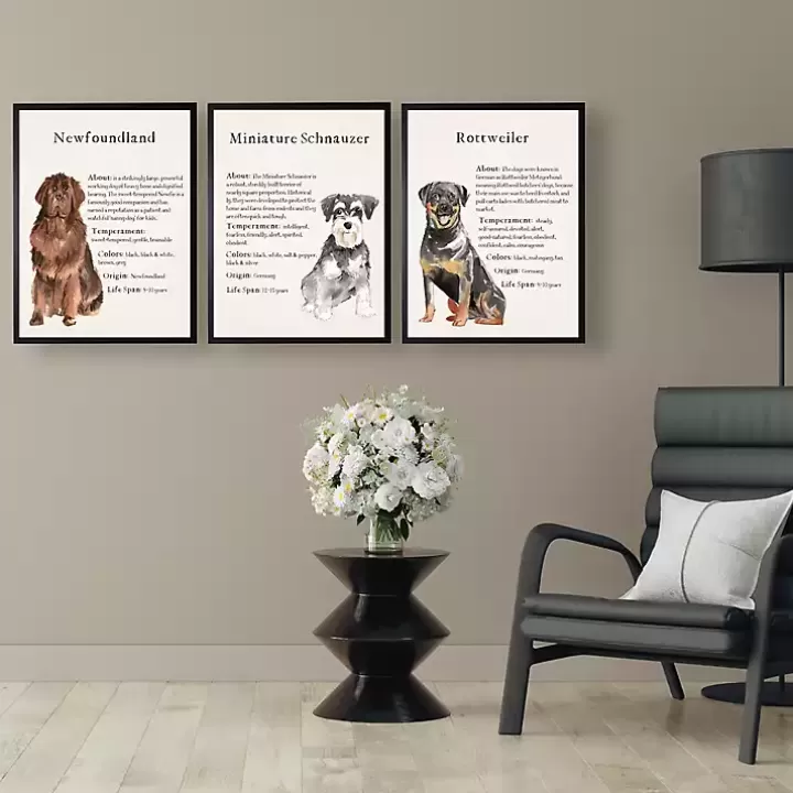 Cheap Miniature Schnauzer Facts Framed Wall Plaque Wall Quotes & Signs