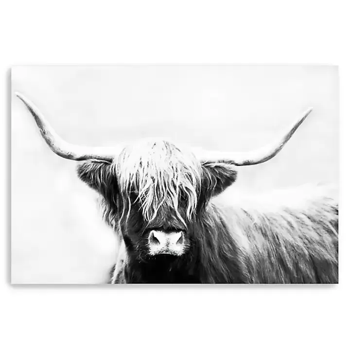 Discount Monochrome Longhorn Canvas Art Print, 60x40 in. Canvas Art