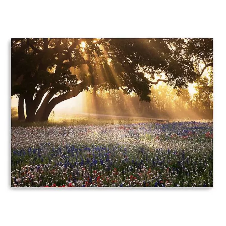 Outlet Morning Meadow Giclee Canvas Art Print, 48x36 in. Canvas Art