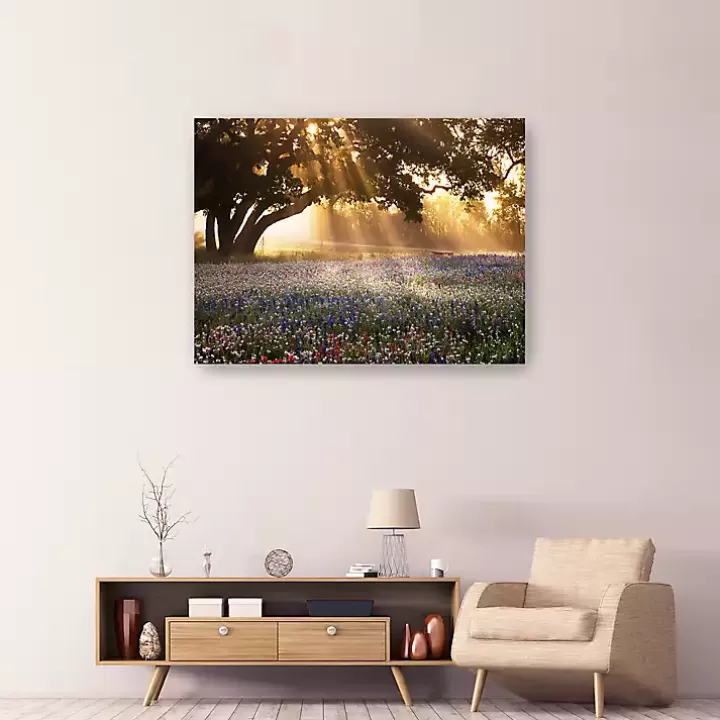 Outlet Morning Meadow Giclee Canvas Art Print, 48x36 in. Canvas Art