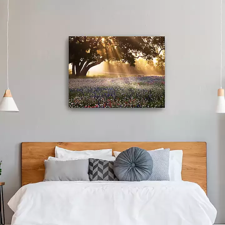 Outlet Morning Meadow Giclee Canvas Art Print, 40x30 in. Canvas Art