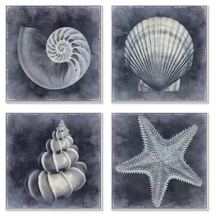 New Nautical Seashells 4-pc. Canvas Art Print Set Framed Art