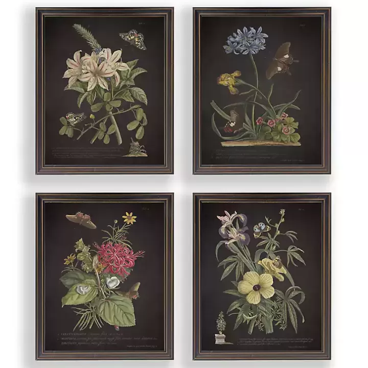 Outlet Night Butterfly Blooms Framed Art Prints, Set of 4 Framed Art