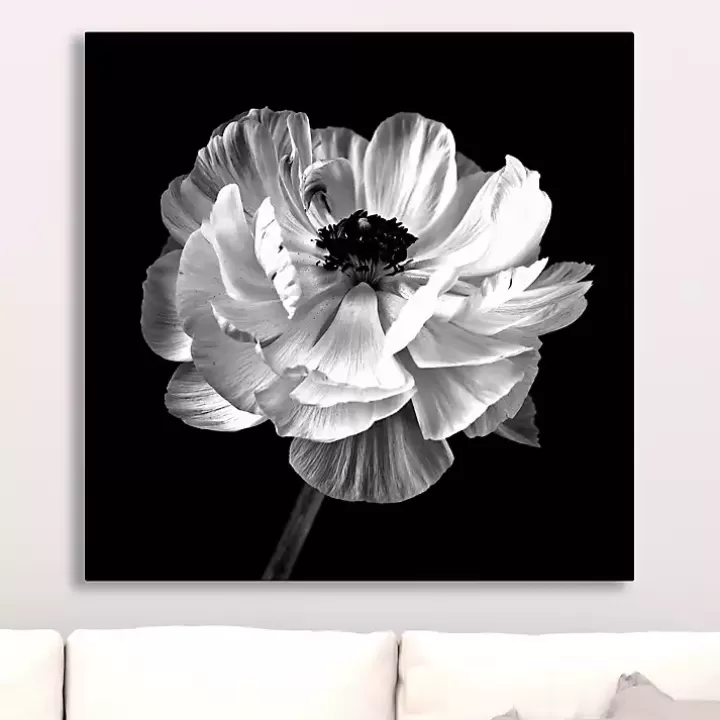 Cheap Noir Ranunculus Floral Giclee Canvas Art Print Canvas Art