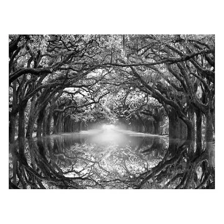 Sale Oak Alley Reflection Giclee Canvas Art Print Canvas Art