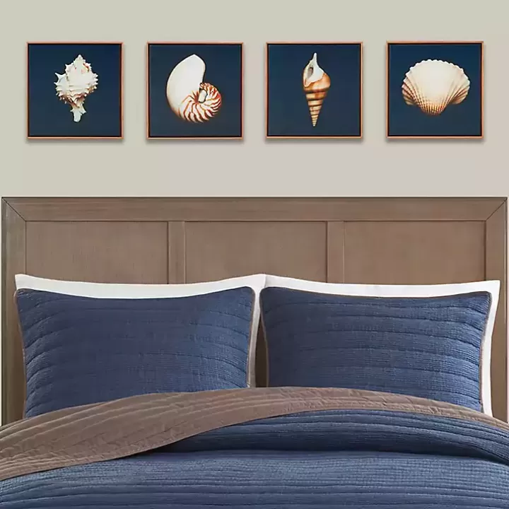 New Ocean Shell Framed Canvas Art Prints, Set of 4 Canvas Art