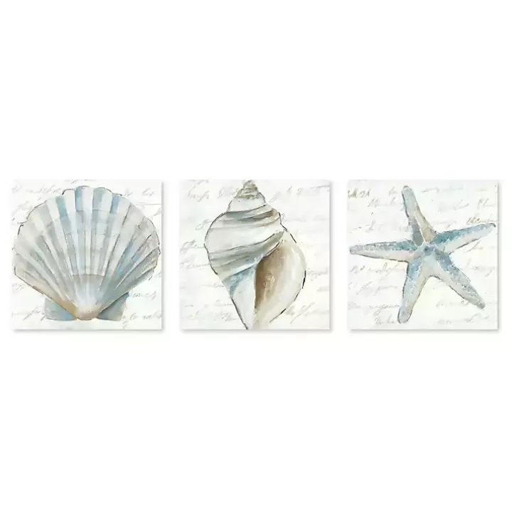 Outlet Ocean Treasures Canvas Art Prints, Set of 3 Canvas Art