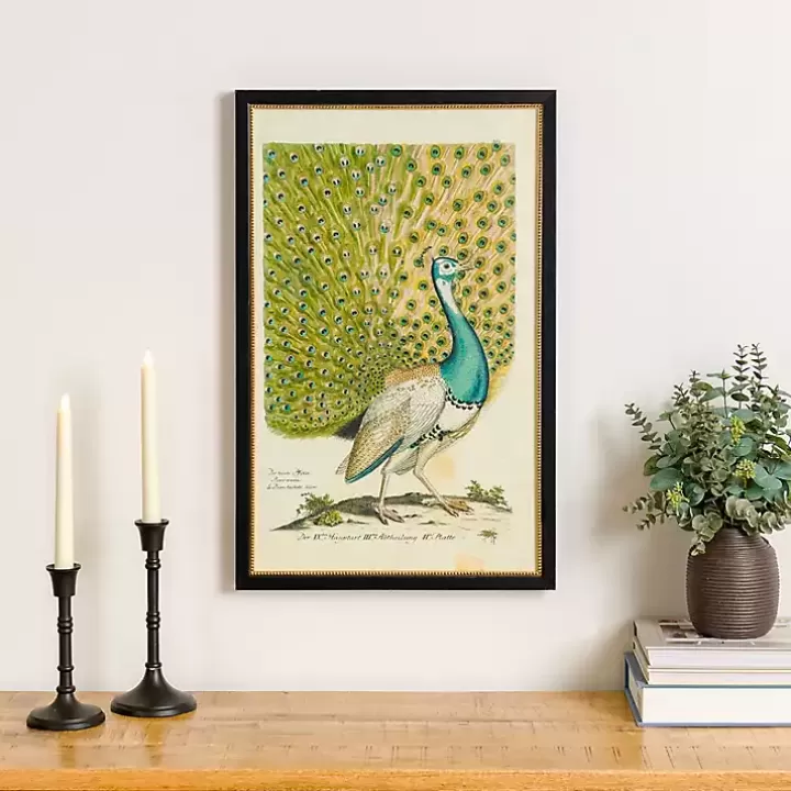 Outlet Peacock Framed Wall Art Framed Art