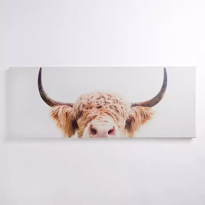 Sale Peek-A-Boo Cow Canvas Art Print Canvas Art