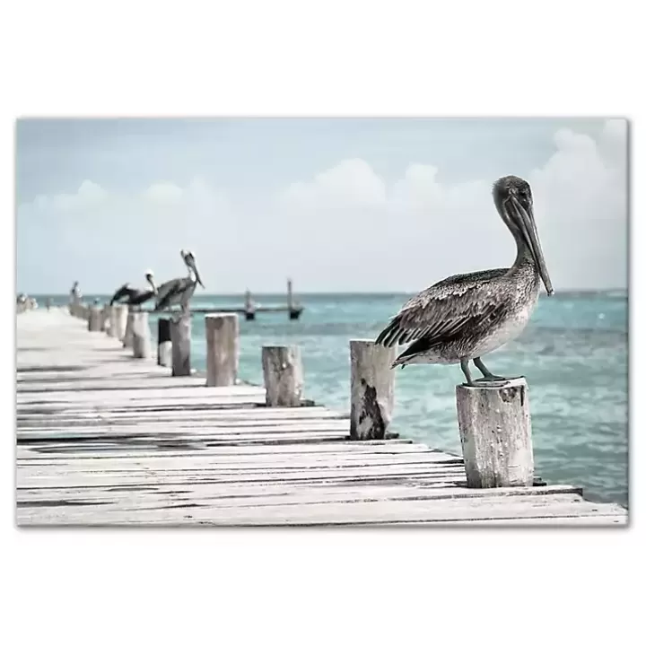 Sale Perched Pelican Canvas Art Print Canvas Art