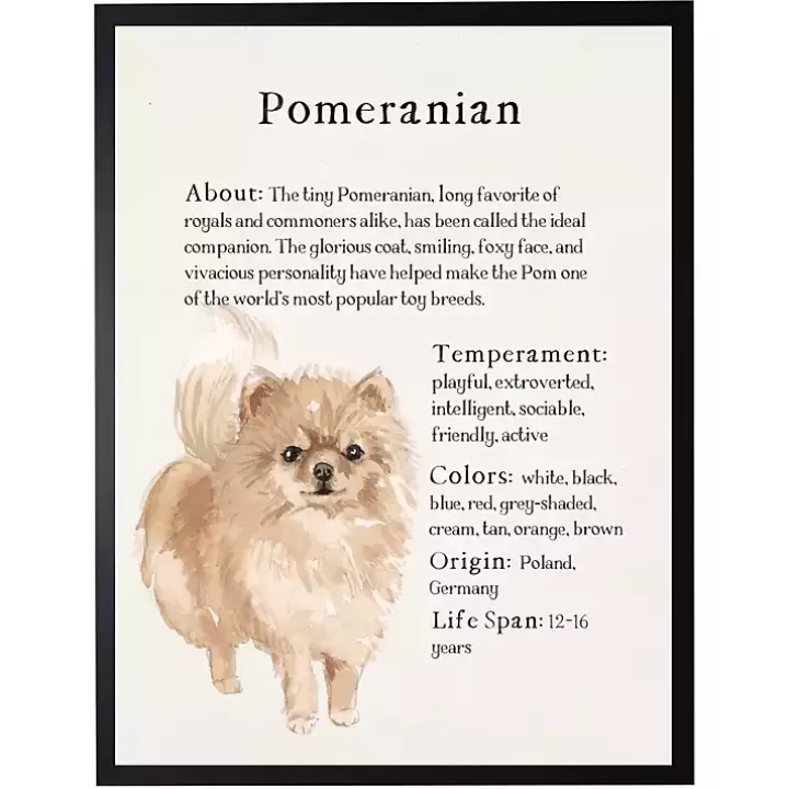 Store Pomeranian Facts Framed Wall Plaque Wall Quotes & Signs