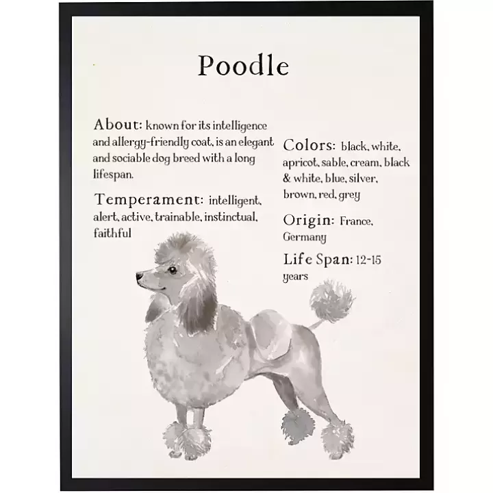 New Poodle Facts Framed Wall Plaque Wall Quotes & Signs