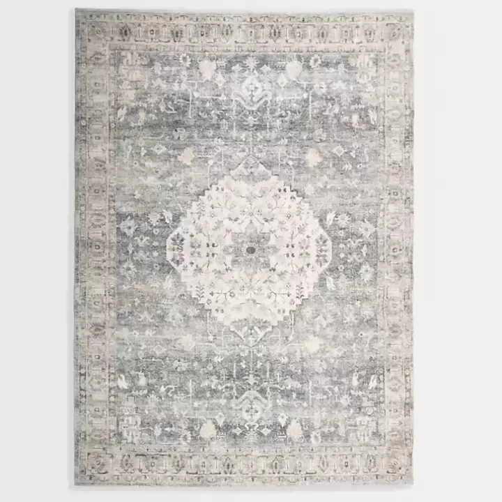 Outlet Rosette Dusty Aqua Area Rug, 5x7 Area Rugs