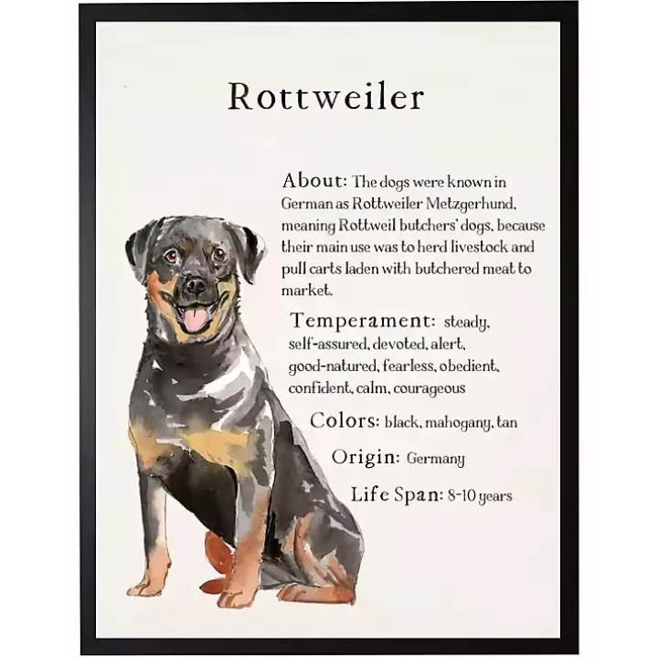 Clearance Rottweiler Facts Framed Wall Plaque Wall Quotes & Signs