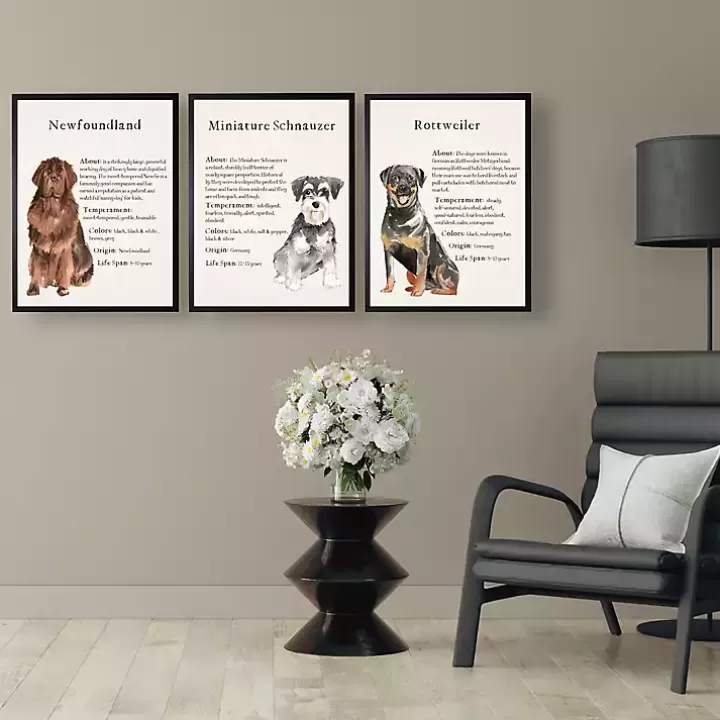 Clearance Rottweiler Facts Framed Wall Plaque Wall Quotes & Signs