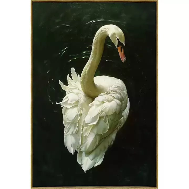 Best Royal Swan Framed Canvas Art Print Canvas Art