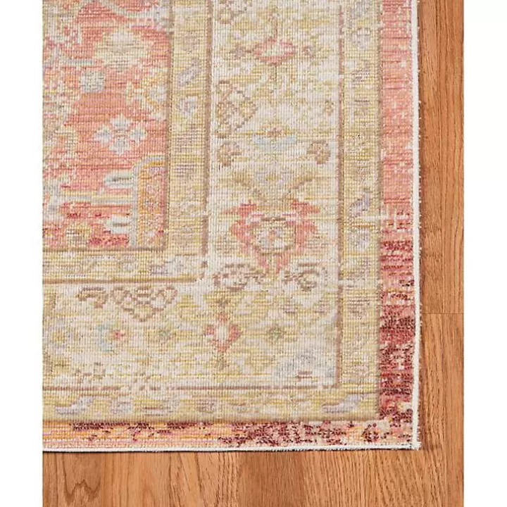 Flash Sale Salmon Vintage Border Area Rug, 8x11 Area Rugs
