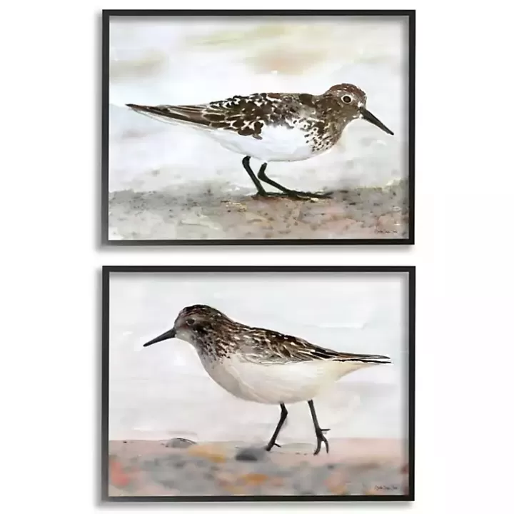 Discount Sandpiper on Coast Framed 2pc Canvas Art Print Set Framed Art