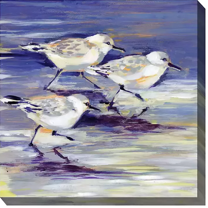 New Sandpipers Outdoor Canvas Art Print Outdoor Wall Decor