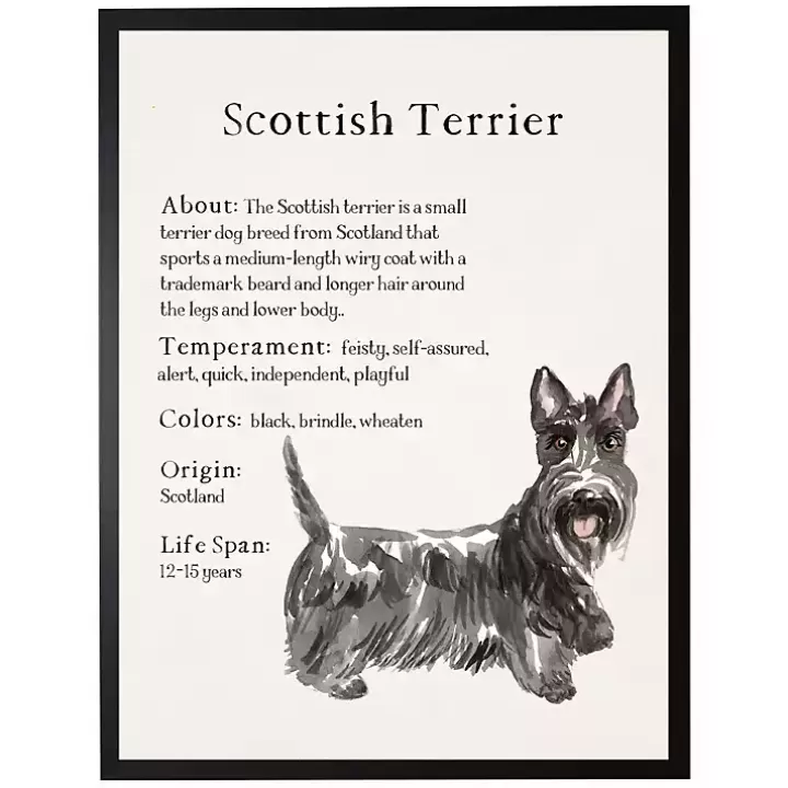 Shop Scottish Terrier Facts Framed Wall Plaque Wall Quotes & Signs