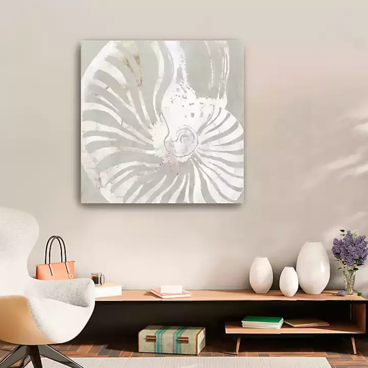 Online Seashell Close Up Canvas Art Print Canvas Art